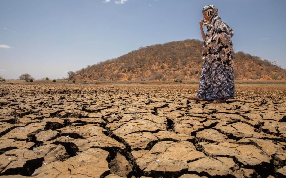 The Impact of Climate Change on Water Solidarity: Adapting Strategies for a Changing World